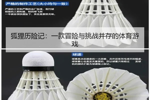 狐狸历险记：一款冒险与挑战并存的体育游戏