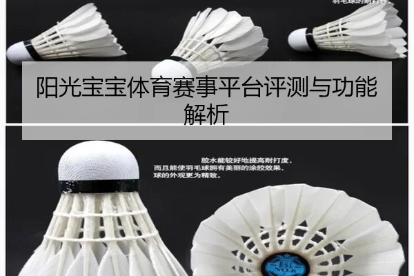 阳光宝宝体育赛事平台评测与功能解析