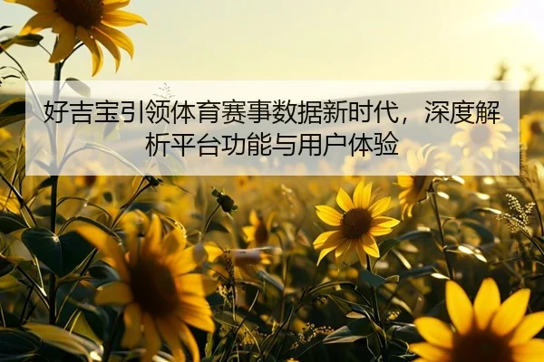 好吉宝引领体育赛事数据新时代，深度解析平台功能与用户体验