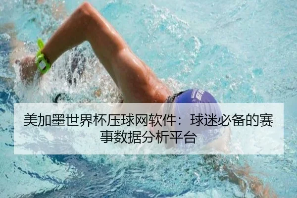 美加墨世界杯压球网软件：球迷必备的赛事数据分析平台