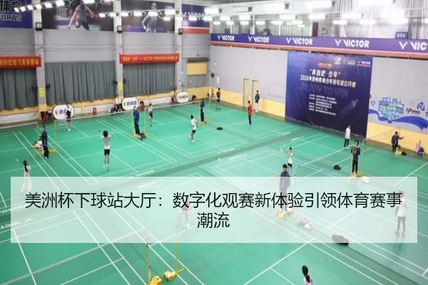 美洲杯下球站大厅：数字化观赛新体验引领体育赛事潮流